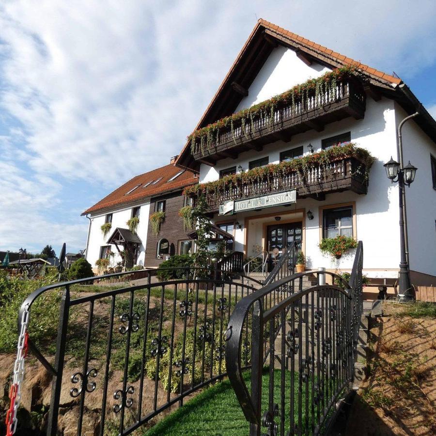 Hotel-Pension Flechsig Hartmannsdorf bei Kirchberg Eksteriør billede